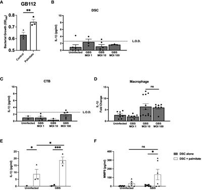 Palmitate and group B Streptococcus synergistically and differentially induce IL-1β from human gestational membranes